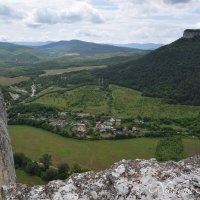 Природа Крыма :: Amazing Cosmea