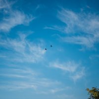 Воздушный бой (серия) :: Михаил 