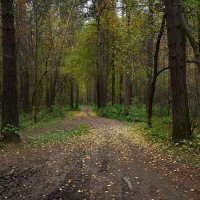 *** :: Владимир 