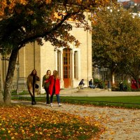 Ноябрь в Баден- Бадене :: Юрий. Шмаков Ноябрь в Баден- Бадене :: Юрий. Шмаков
