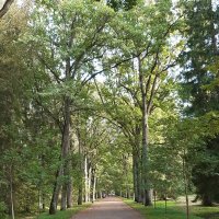 Павловск, Павловский парк :: Галина Минчук Павловск, Павловский парк :: Галина Минчук