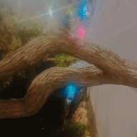 13  ОПЕН (462) :: OPEN WAYS ALL