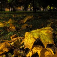 ***** :: юрий поляков