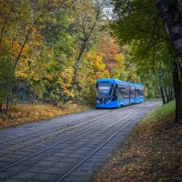 Сокольники :: Олег Дорошенко