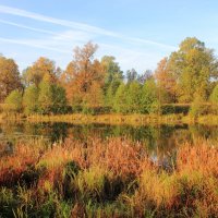 Краски осени :: Евгений Корьевщиков