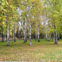 Осень в городе :: Лариса С. Осень в городе :: Лариса С.