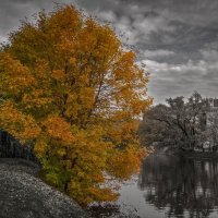 "Осень на прудах. Костер золотой"© :: Владимир Макаров
