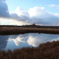 Отражение :: Сергей Никифоров