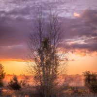 **** :: Елизавета .