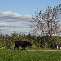 Встреча :: VL 