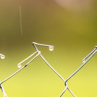 Капли :: Александр 