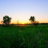 Солнце 11 :: Игорь Тельцов