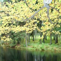 Однажды :: Наталья Герасимова Однажды :: Наталья Герасимова