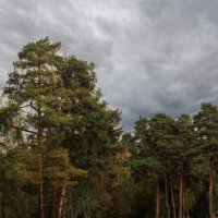 у озера :: Michel 