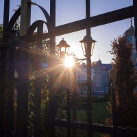 Тихорецкие зарисовки :: Наталья Сафронова