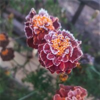 Замороженный :: AZ east3