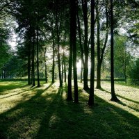 Солнце 12 :: Игорь Тельцов