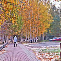 Поздняя  осень в сквере Победы! :: Владимир 