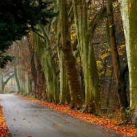 Декабрь :: Юрий. Шмаков