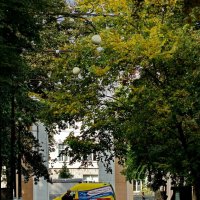 В парке... :: Николай Саржанов