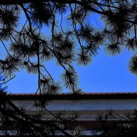 Какое небо голубое! :: Юрий Гайворонскiий Какое небо голубое! :: Юрий Гайворонскiий