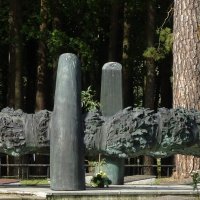 На братских могилах не ставят крестов.... :: rimgis 