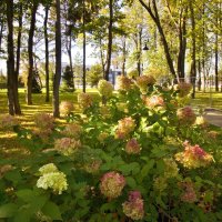ОСЕНЬ В ПАРКЕ :: АЛЕКСАНДР 