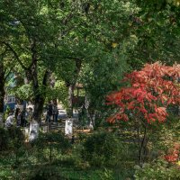 Так начиналась осень :: Игорь Сикорский Так начиналась осень :: Игорь Сикорский