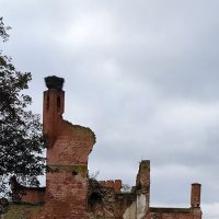 Руины замка Шаакен. :: Ольга 