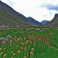 ПРИТОК ОЙГАИНГА. h- 2850м. :: Виктор Осипчук