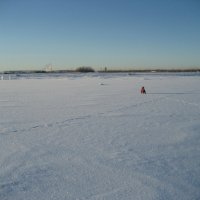 Прогулки :: Anna Ivanova