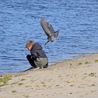 Мальчик и голубь... :: Валентина  Нефёдова 
