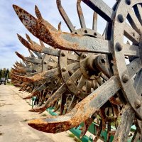 Обработка земли - важнейший труд человека! :: Арина Невская Обработка земли - важнейший труд человека! :: Арина Невская