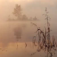 Рассвет :: Марина Фомина. Рассвет :: Марина Фомина.