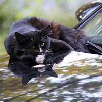 теплое местечко :: Олег Лукьянов теплое местечко :: Олег Лукьянов