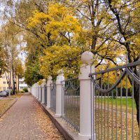 Когда охра - в фаворе :: Галина Бобкина Когда охра - в фаворе :: Галина Бобкина