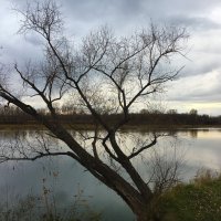 Поздняя осень :: Владимир Кириченко Поздняя осень :: Владимир Кириченко