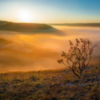 Туманный рассвет :: Фёдор. Лашков