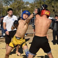 В атаке! :: Александр Гриднев