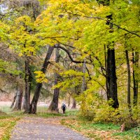 Шереметевский парк :: Анастасия Логинова