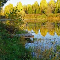 Осень на пруду :: Сергей Ц