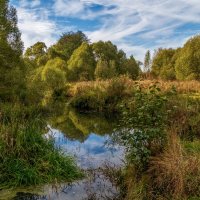 Осень достала краски 3 :: Андрей Дворников Осень достала краски 3 :: Андрей Дворников