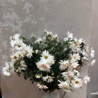 хризантемы в кувшине :: Ольга