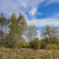 Под небом октября... :: Владимир Жданов