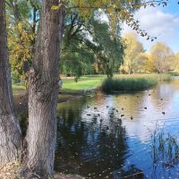 Самара. Воронежские озера :: Надежда 