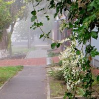 Первый осенний туман :: Татьяна Смоляниченко Первый осенний туман :: Татьяна Смоляниченко