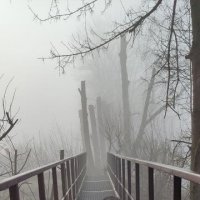 Утренняя прогулка :: Наталия 