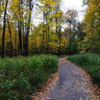 Осенние тропинки :: Андрей Лукьянов