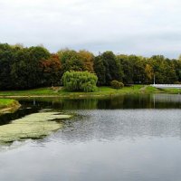 Город в октябре. :: Милешкин Владимир Алексеевич 