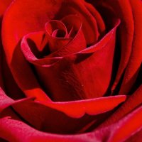 *** :: Виктор Иванович Чернюк